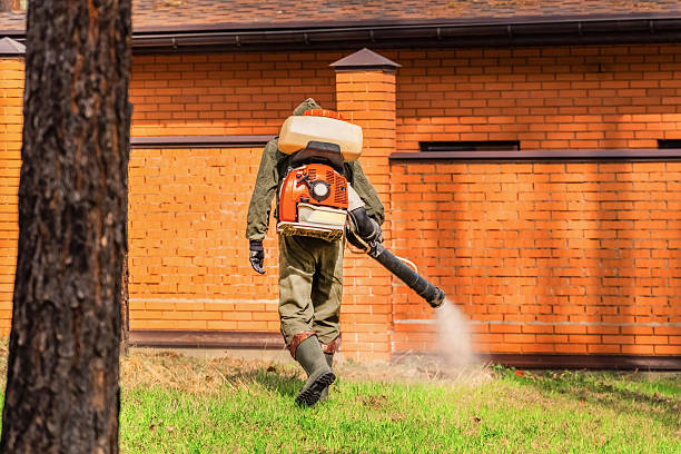 Trusted Bed Bug Control service in Pine Beach, NJ - Nex Pest Control